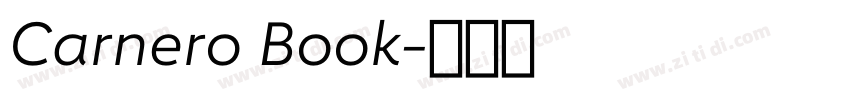 Carnero Book字体转换